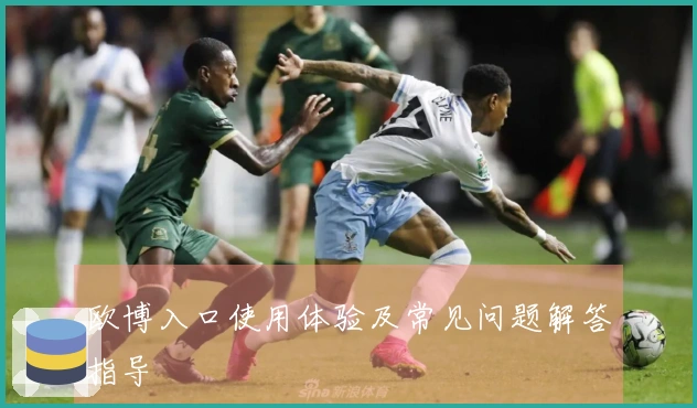欧博入口使用体验及常见问题解答指导