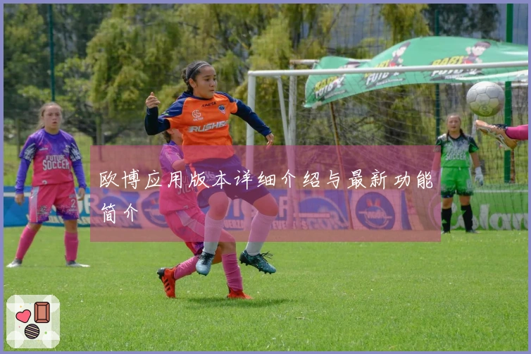 欧博应用版本详细介绍与最新功能简介