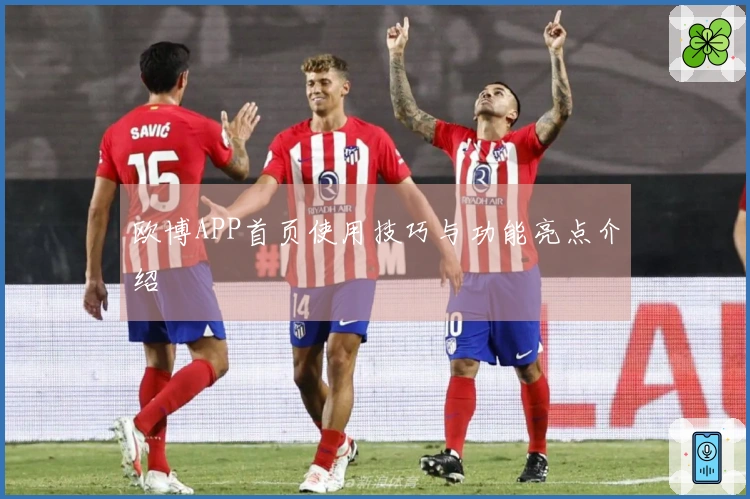 欧博APP首页使用技巧与功能亮点介绍